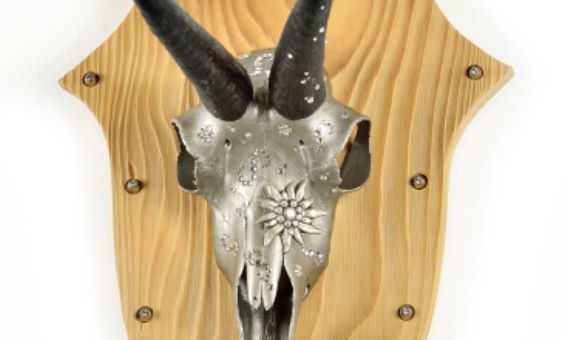 Gamsbock Edelweiß